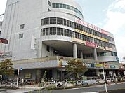 コピオ北野 397m