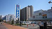 コーナン 1000m