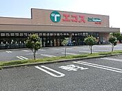 エコスTAIRAYA拝島店 439m