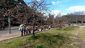 エスリード長居公園PARK AVENUE  ｜ 大阪府大阪市住吉区南住吉1丁目3-6（賃貸マンション1K・2階・21.09㎡） その24