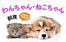 その他：小型犬or猫1匹まで飼育OK！