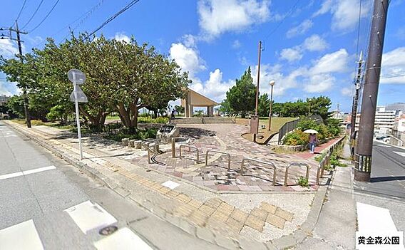 黄金森公園 6...