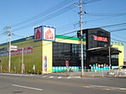 ヤマダデンキテックランド真岡店(ホームセンター)まで350m
