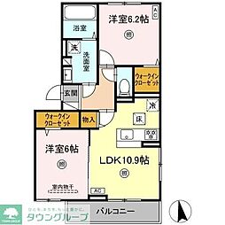 Gentiana　scabra 1階