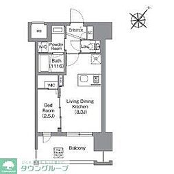 シーズンフラッツ渡辺通 7階/-