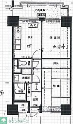 シャンボール大名C 5階/-