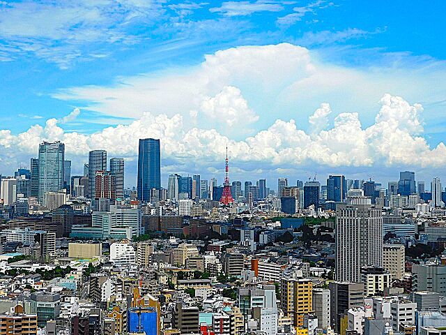 バルコニー 代官山アドレス 33階/-