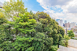 バルコニーからの眺望（眺望は永続的に保証されるものではありません）