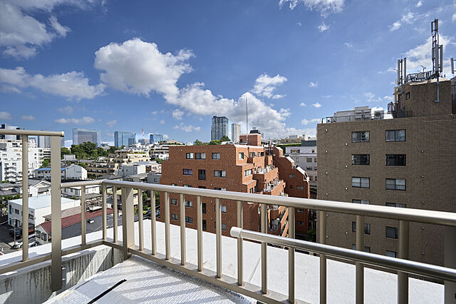 バルコニー エルラフィナ白金 8階/-