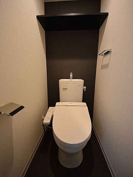 画像8:アドバンス大阪ソルテ　シャワートイレ