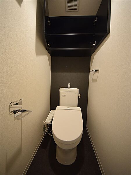 画像8:アドバンス大阪ソルテ　シャワートイレ