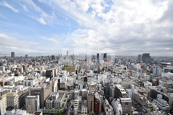 アルグラッドザタワー心斎橋 ｜大阪府大阪市中央区東心斎橋1丁目(賃貸マンション1SLDK・35階・137.88㎡)の写真 その14