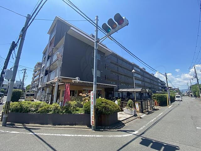 6 / 23