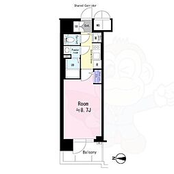 エスリード京都吉祥院 ヴィーナ 3階/-