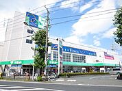 ザ・ダイソーパシオス南加瀬店 徒歩10分。その他小売店 740m