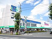 ザ・ダイソーパシオス南加瀬店 754m