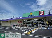 ウェルパーク川崎古川店 徒歩12分。ドラックストア 960m