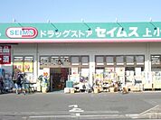 ドラッグセイムス上小町店 810m