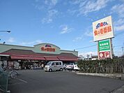 おっ母さん 689m