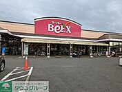 ベルクス岩槻城北店 徒歩15分。 1200m