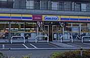 ミニストップさいたま奈良町店 徒歩4分。 310m
