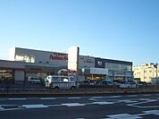 アベイル西大宮店 864m