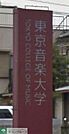 私立東京音楽大学 徒歩6分。大学・短大 450m