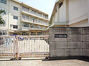 三郎丸小学校(500m)