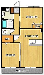 ＣＩＴＲＵＳ ＴＲＥＥ 2階/-