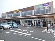 TSUTAYAサンリブきふね店(923m)