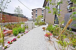 6 / 11