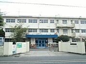 城野小学校(950m)