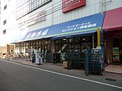 フーズセレクション 290m