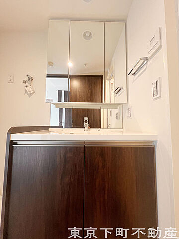 洗面 プレミストタワー白金高輪 13階/-