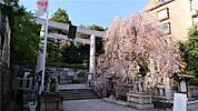乃木神社です。距離約500m