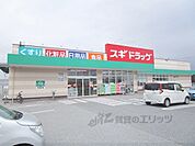 スギドラッグ　長浜中央店まで700メートル
