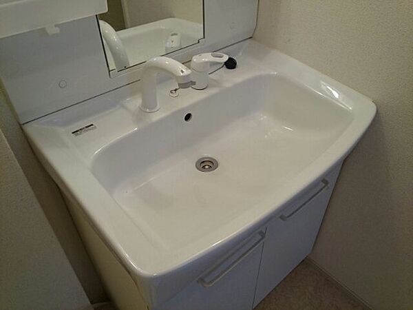画像12:広い洗面スペース
