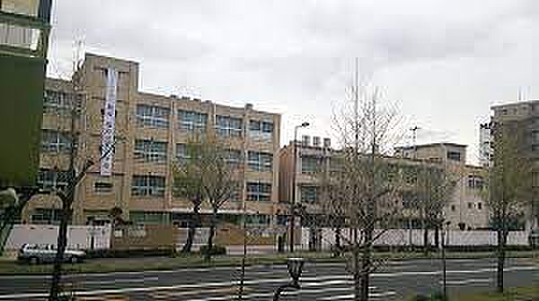 画像29:【小学校】大阪市立塩草立葉小学校まで439ｍ