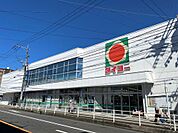 タイヨー伊敷店（1100m）