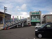 コープ鹿児島吉野店（650m）