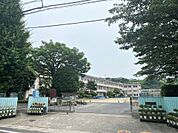 伊敷小学校（550m）