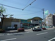 コープ荒田店（510m）