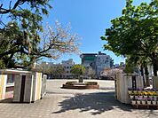 山下小学校（250m）
