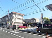 鴨池小学校（800m）