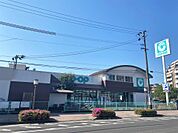 コープ荒田店（230m）