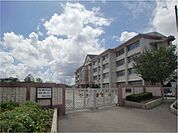 伊敷台小学校（303m）