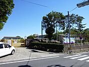 錦江台小学校（1236m）