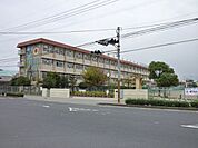 谷山中学校（871m）