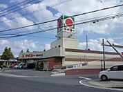 タイヨー慈眼寺店（550m）