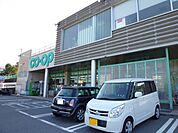 コープかごしま　西陵店（220m）